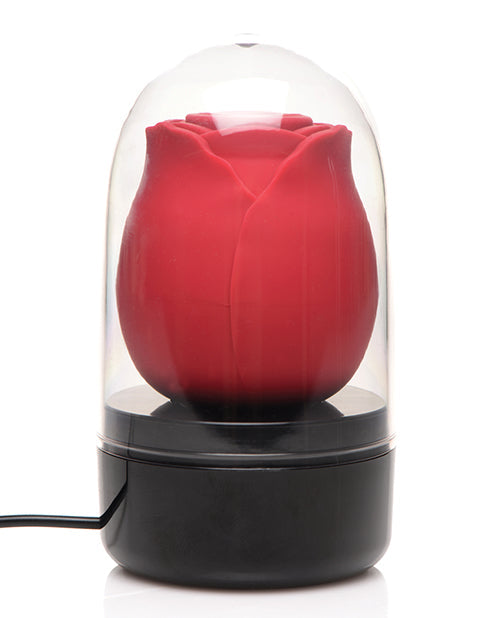 Bloomgasm Enchanted Rose Vibe - Red