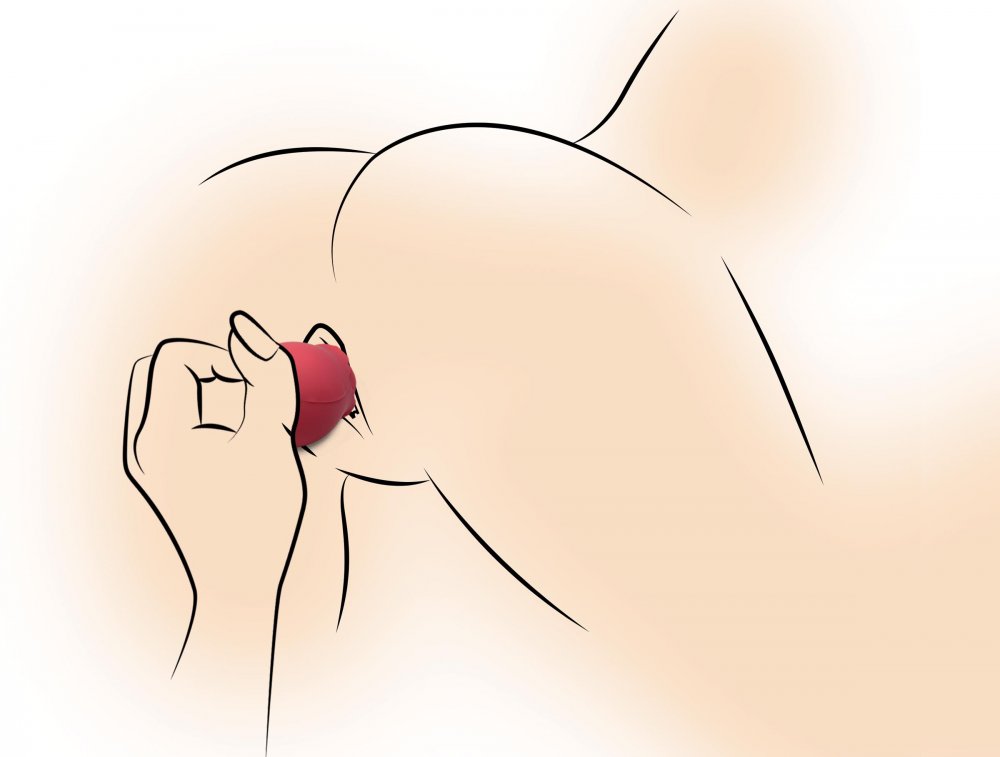 Inmi Bloomgasm Wild Rose Vibrator Red